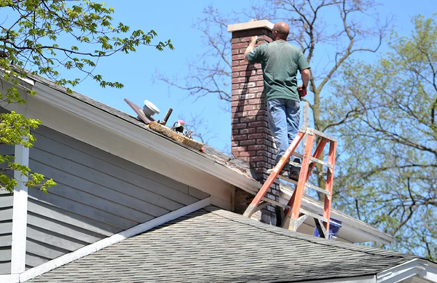 Chimney & Fireplace Inspections Services in Union Hill-Novelty Hill, WA